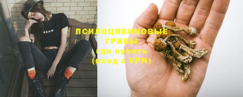 ссылка на мегу ссылка  Палласовка  Галлюциногенные грибы Psilocybe 